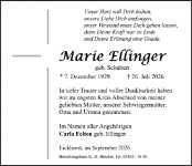 eine Anzeige
