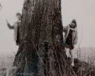 ein Bild aus dem Album